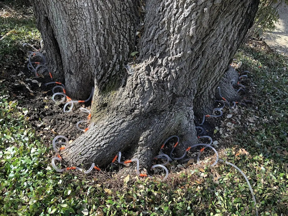 Detailed Shrub and Hedge Trimming job site in Harts